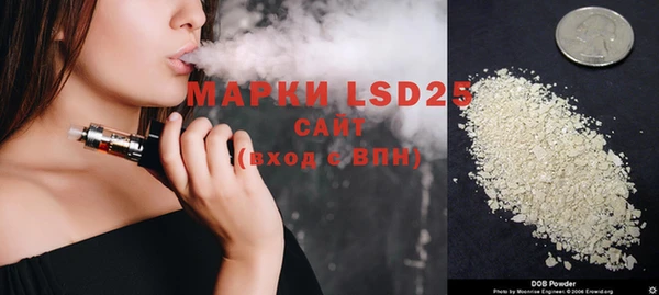 стаф Кодинск