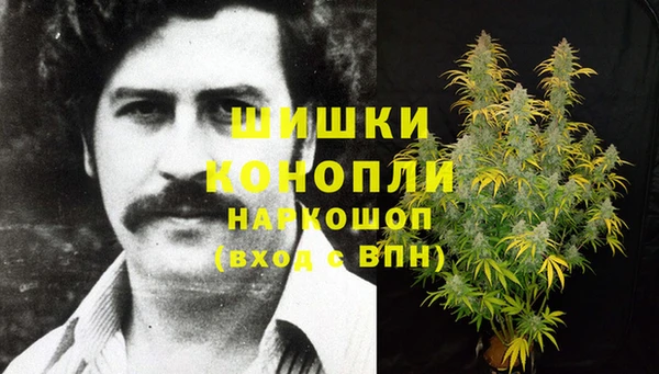 стаф Кодинск