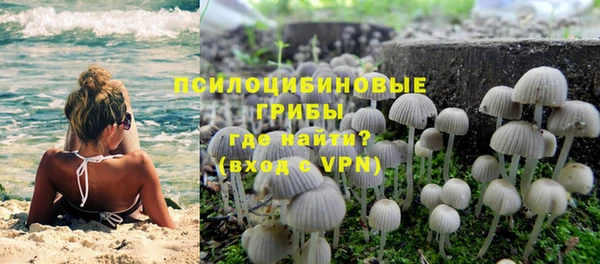 спиды Козельск