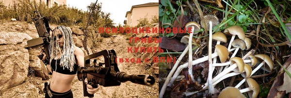 кокс Козловка