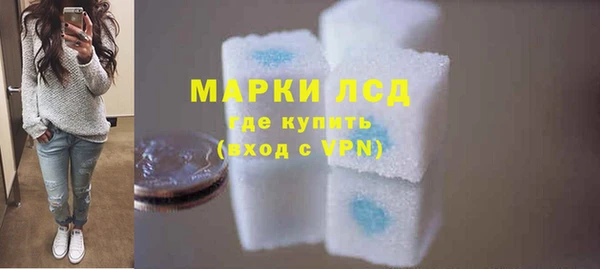 стаф Кодинск