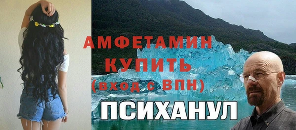 стаф Кодинск