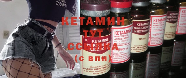 стаф Кодинск