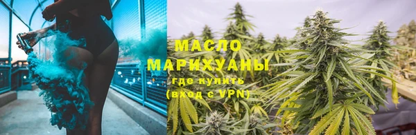 стаф Кодинск