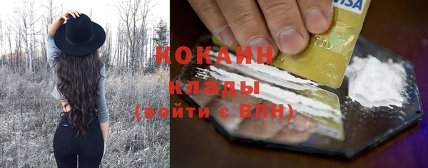 стаф Кодинск