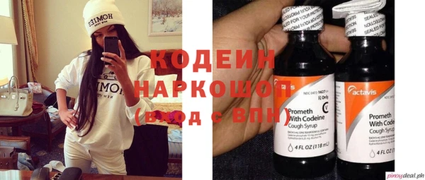 стаф Кодинск