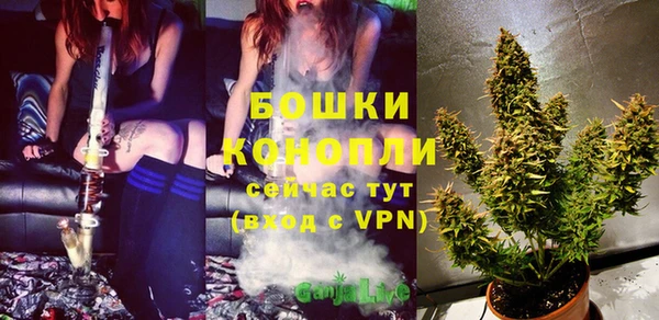 стаф Кодинск